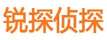 广东捉小三公司